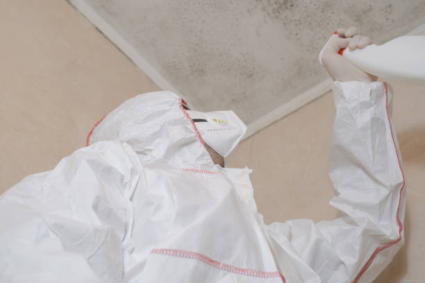 Best Kitchen Mold Remediation in Maple Bluff, WI